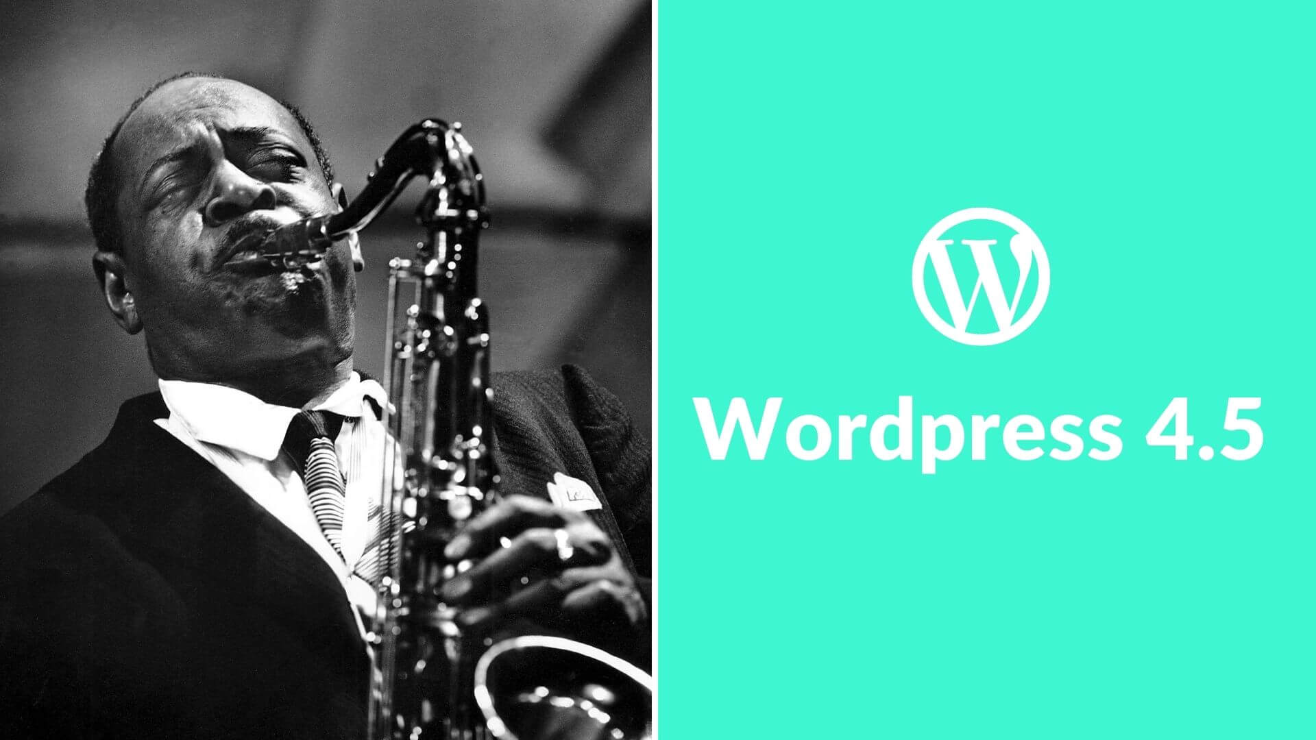 wordpress 4.5